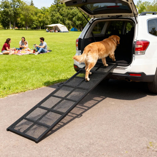 Dog walking up the Restpaw folding car ramp into a vehicle